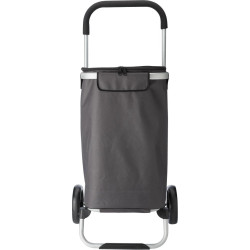 Trolley shopping en...