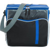 Sac isotherme Ravi | Polyester 600D