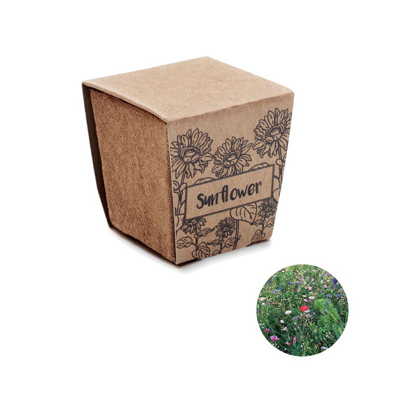 SUNFLOWER KIT