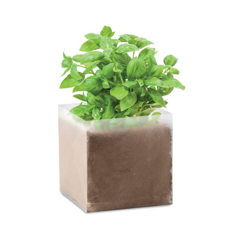 BASIL