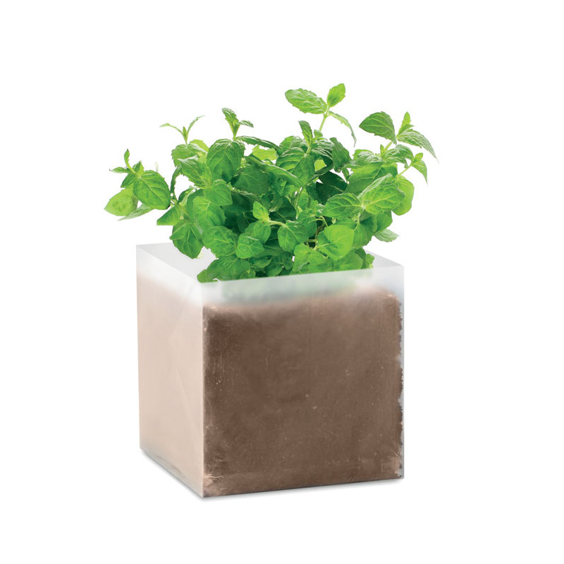 MINT