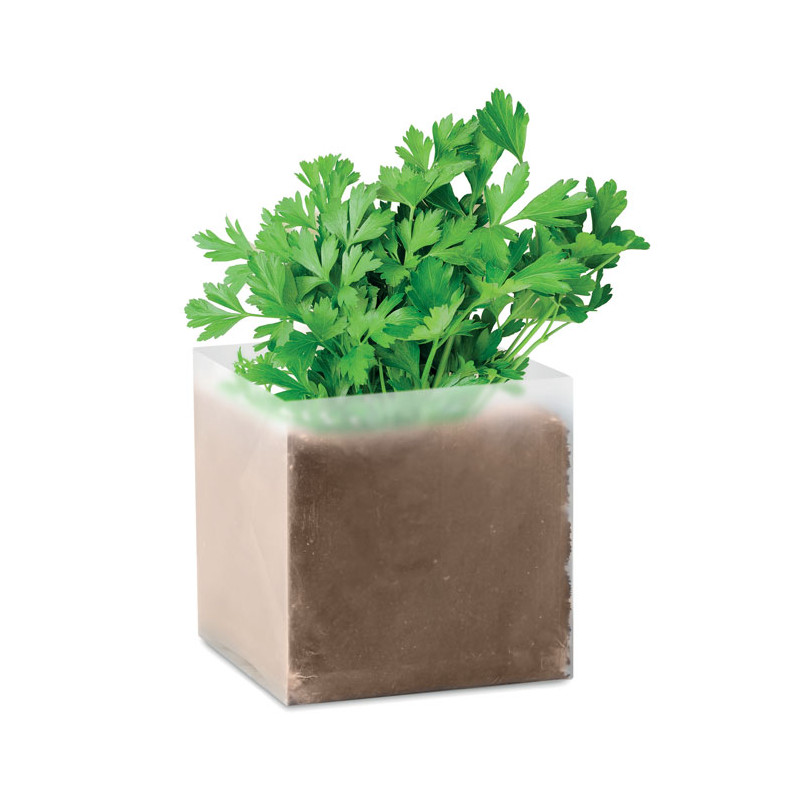 PARSELY